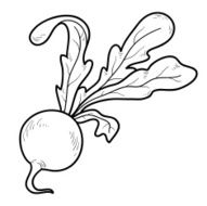 Coloring book fruits and vegetables (radishes) N2