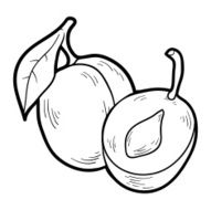 Coloring book fruits and vegetables (plum)