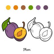 Coloring book fruits and vegetables (plum) N2