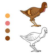 Coloring book (turkey chick) N3