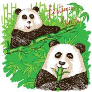 Two pandas eating bamboo