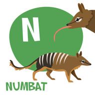Funny cartoon animals vector alphabet letter set for kids N