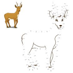 Connect the dots to draw animal educational game N6
