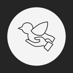 Donation line icon N99