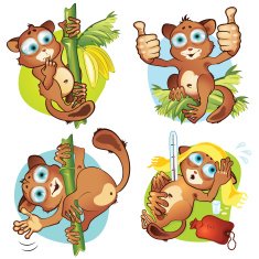 set 1 of monkeys tarsiers