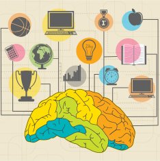 Colorful educational objects and items with colorful brain