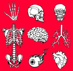 set of an internal person