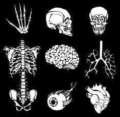 set of an internal person N2