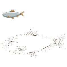 Connect the dots to draw animal educational game N14