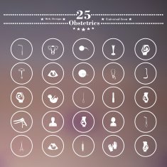 Icons flat is pregnant white soft background N2