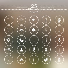 Icons flat is pregnant white soft background N5
