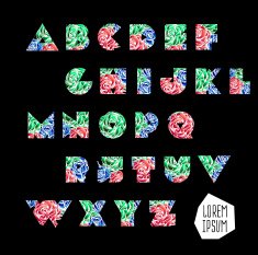Vector colorful flower font N27