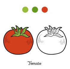 Coloring book fruits and vegetables (tomato)