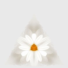 Joyful Sunny spring bright cheerful pattern N4