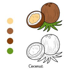 Coloring book fruits and vegetables (coconut) N2
