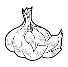 Coloring book fruits and vegetables (garlic) N2