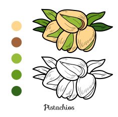 Coloring book fruits and vegetables (pistachios) N2