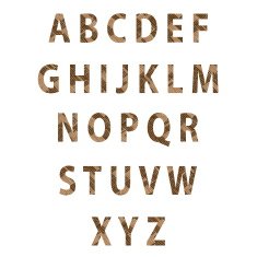 Texture parquet font Vector N2