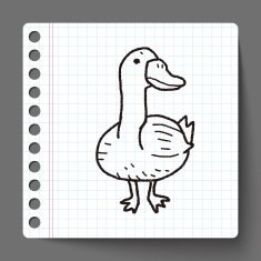 duck doodle N5