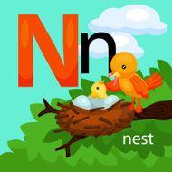 N for Nest