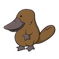 platypus