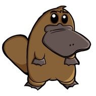 platypus N2