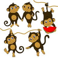Funny monkeys set