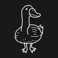 duck doodle N11