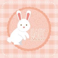 Baby Shower N66