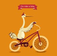 Traveling by bike N2