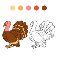 Coloring book (turkey)