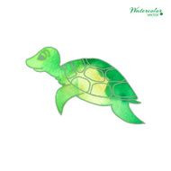 turtle in cartoon style