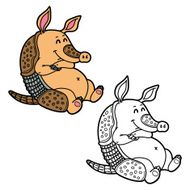 funny armadillo