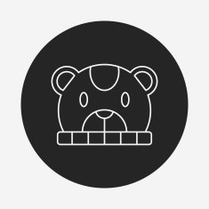 baby hat line icon N10