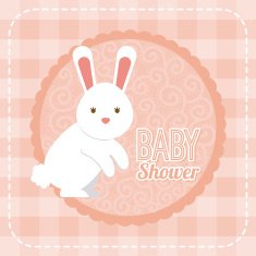 Baby Shower N66