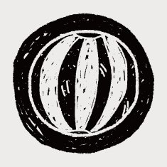 Doodle Beach Ball N9