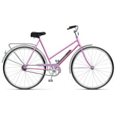 Vector Female Bicycle