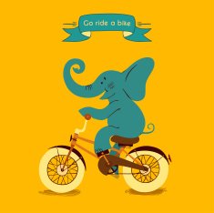Traveling by bike N3