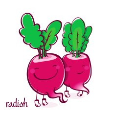 Funny vector vegetables set Radish