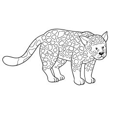 Coloring book (jaguar)