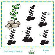 Find the shadow of picture N2