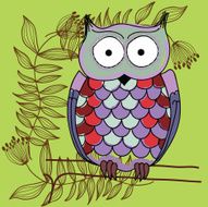 owl N6