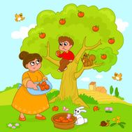 Apple Tree N11