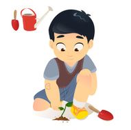 Boy planted a sapling