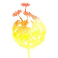watercolor dandelion background N6