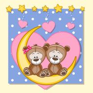 Lovers Teddy Bears