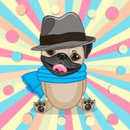 Pug Dog with hat