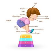 vocabulary part of body vector N5