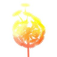 watercolor dandelion