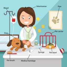 The Idea of Female Veterinarian Curing the Dog